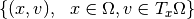 \{ (x,v), ~~ x \in \Omega, v \in T_x \Omega \}