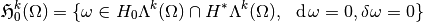 \mathfrak{H}_0^k (\Omega) = \{ \omega \in H_0 \Lambda^k(\Omega) \cap H^* \Lambda^k(\Omega),~~\diff \omega = 0, \delta \omega = 0 \}