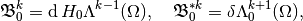 \mathfrak{B}_0^k = \diff H_0\Lambda^{k-1}(\Omega), ~~~ \mathfrak{B}_0^{* k} = \delta \Lambda_0^{k+1}(\Omega),