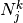 N_j^k
