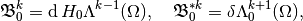\mathfrak{B}_0^k = \diff H_0\Lambda^{k-1}(\Omega), ~~~ \mathfrak{B}_0^{* k} = \delta \Lambda_0^{k+1}(\Omega),