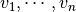 v_1, \cdots,v_n